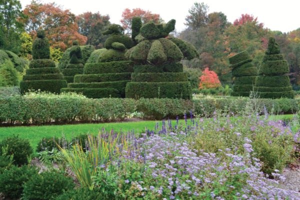 2021 marked the 50th Anniversary of the Ladew Topiary Garden as a public garden. The non profit organization's mission is  "to maintain and promote the gardens, house and facilities in keeping with the creative spirit of Harvey S. Ladew for the public benefit and for educational, scientific, and cultural pursuits." 
https://ladewgardens.com/